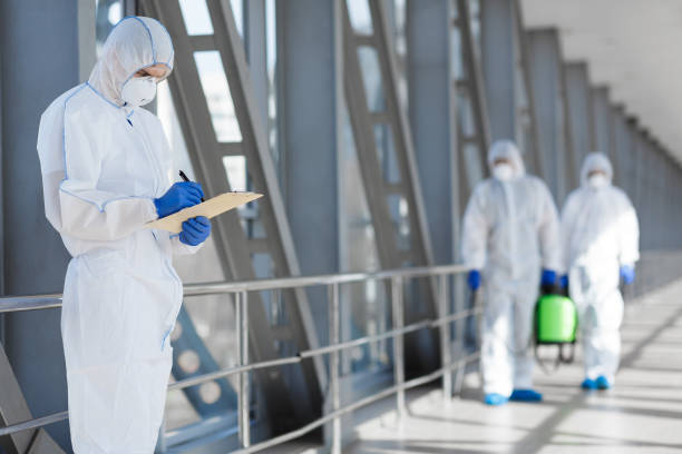 Best Mold Remediation for Healthcare Facilities  in Morris, AL