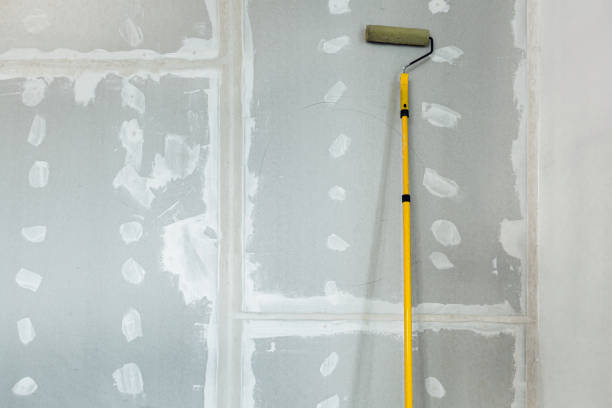 Trusted Morris, AL Mold Removal Experts