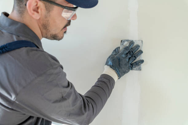 Best Emergency Mold Remediation  in Morris, AL